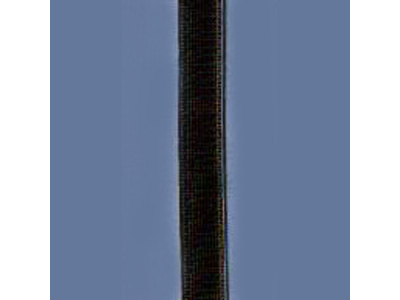 BMS-EL-BS300308B.jpg