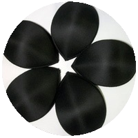 Circular image of black bra cups