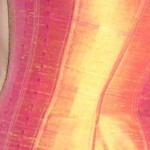 orange-corset-detail