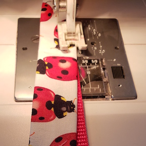 LadyBugSew